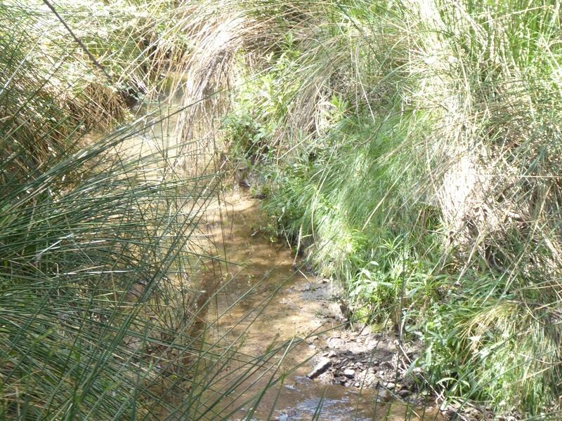 6 bedroom Country House for sale