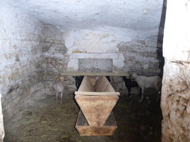 10 Cuarto Casa Cueva en venta