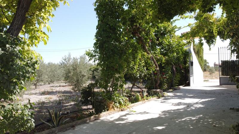 6 bedroom Country House for sale