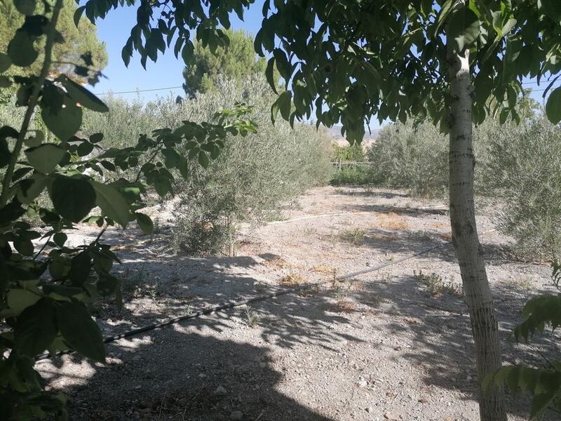 6 bedroom Country House for sale