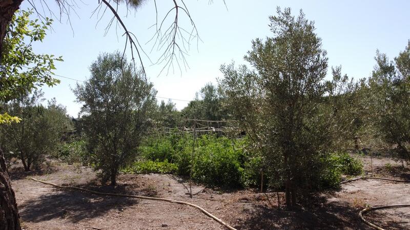 6 bedroom Country House for sale