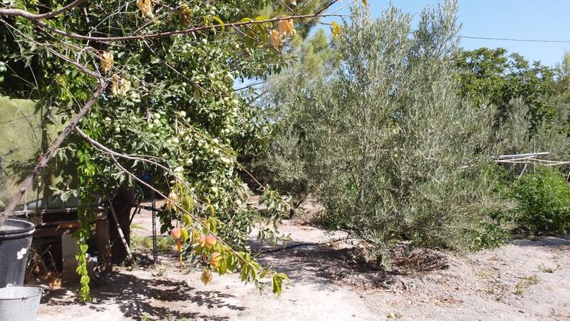 6 bedroom Country House for sale