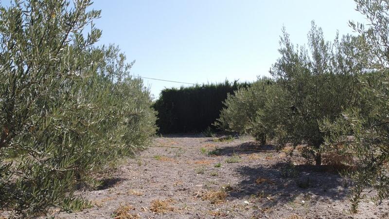 6 bedroom Country House for sale