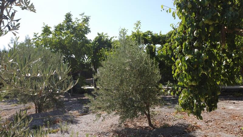 6 bedroom Country House for sale