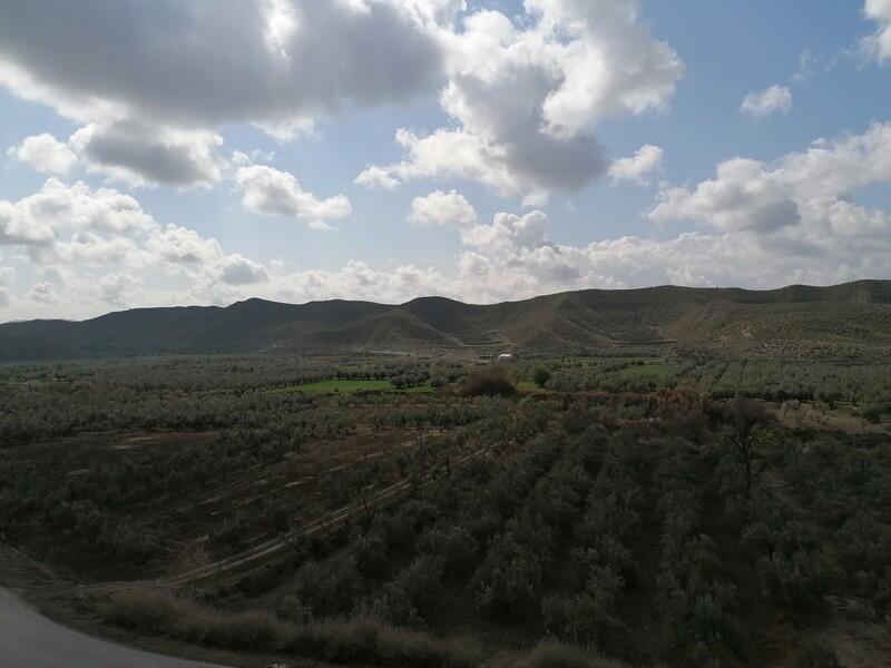 5 soverom Grottehuset til salgs 5 soverom Grottehuset til salgs