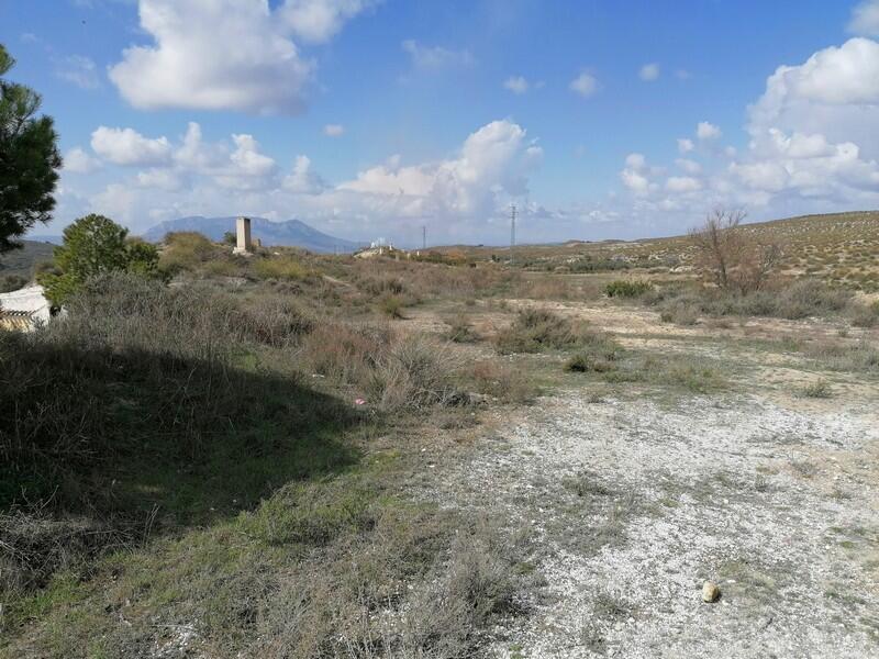 5 soverom Grottehuset til salgs 5 soverom Grottehuset til salgs