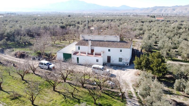 Country House for sale in Baza, Granada