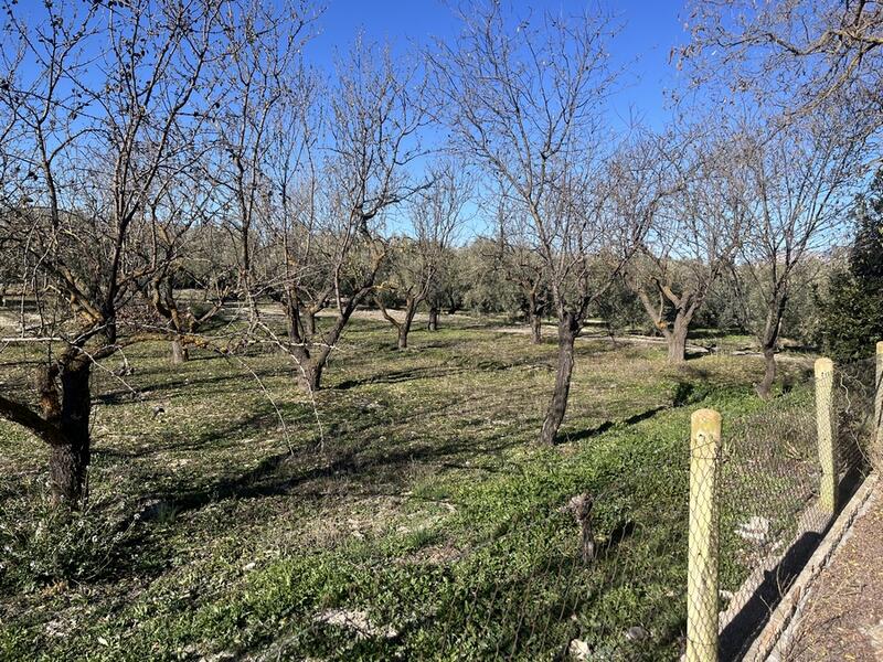 5 soverom Herregård til salgs 5 soverom Herregård til salgs