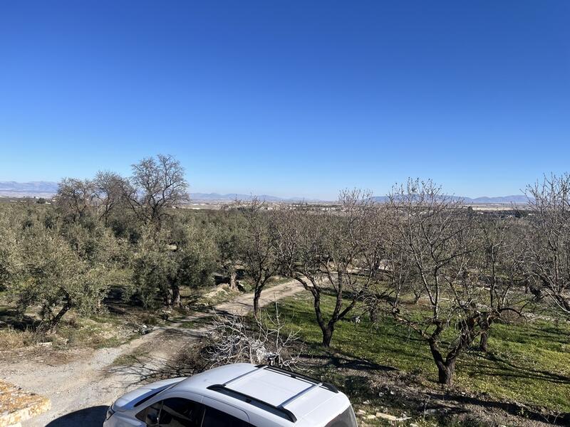 5 soverom Herregård til salgs 5 soverom Herregård til salgs