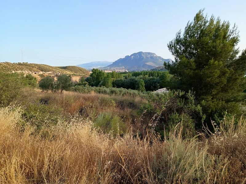 7 soverom Grottehuset til salgs 7 soverom Grottehuset til salgs