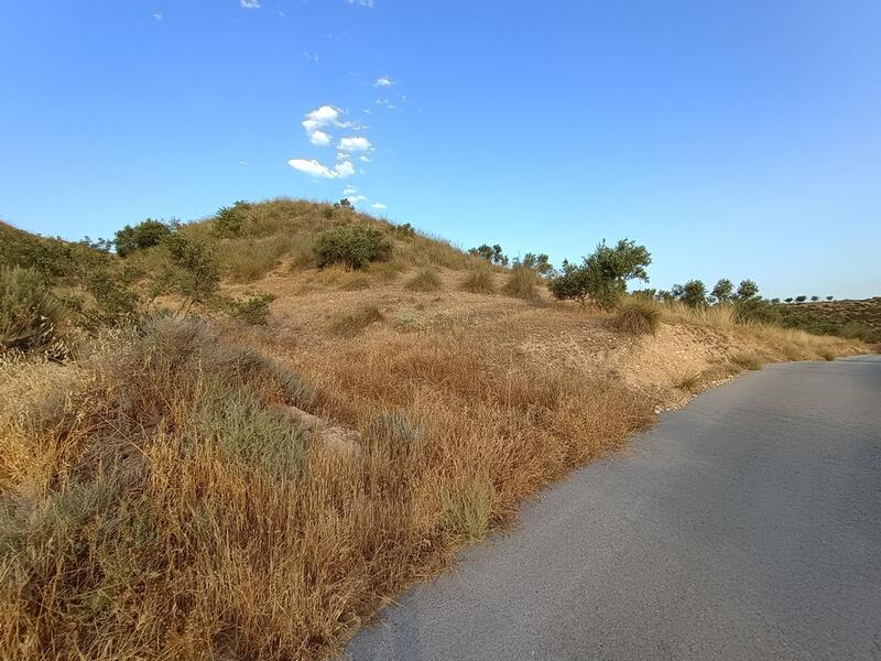 7 soverom Grottehuset til salgs 7 soverom Grottehuset til salgs