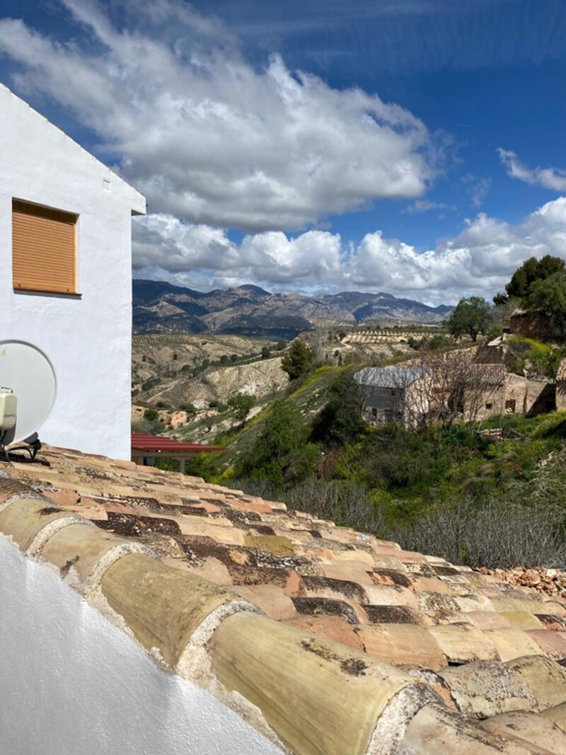 3 soverom Herregård til salgs