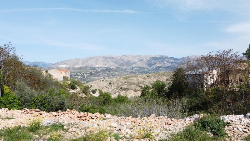 3 soverom Herregård til salgs