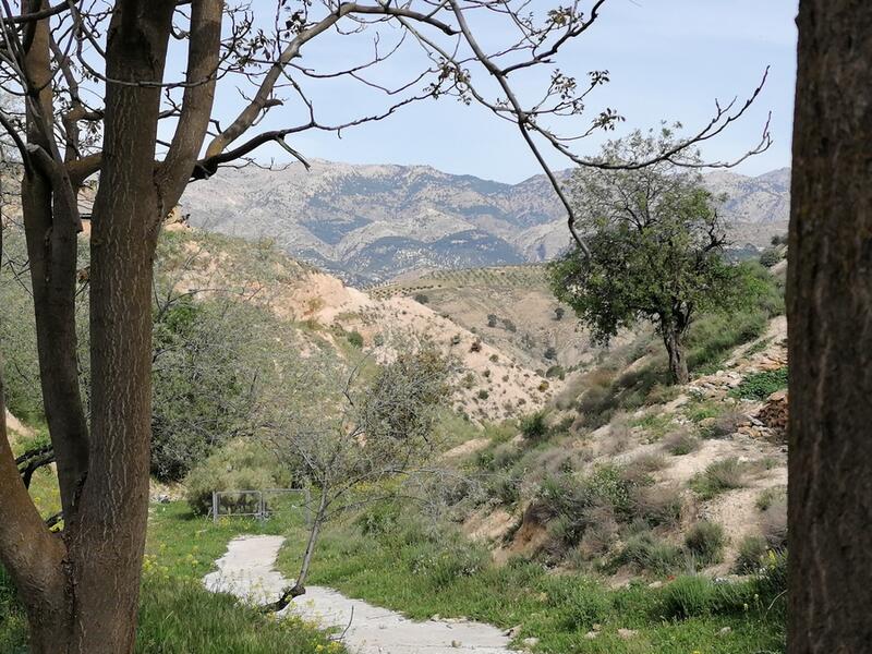 3 soverom Grottehuset til salgs