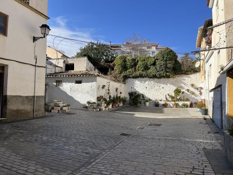 3 Cuarto Casa de Campo en venta