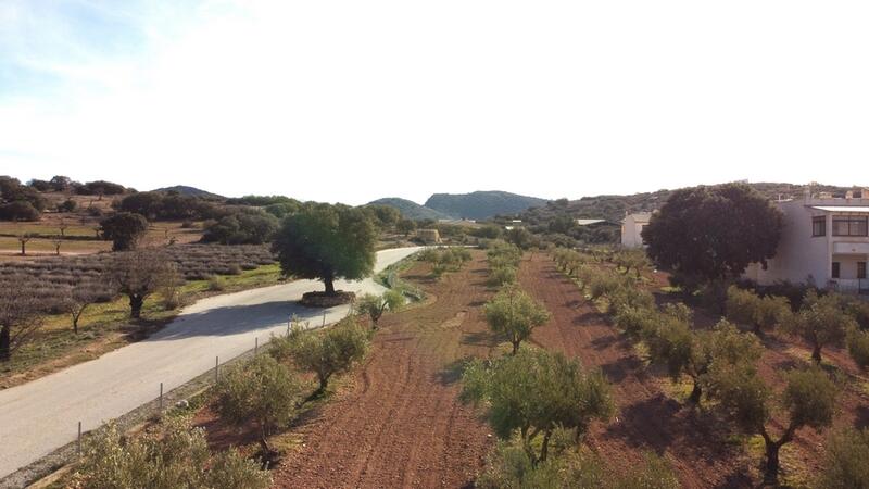 8 bedroom Country House for sale 8 bedroom Country House for sale