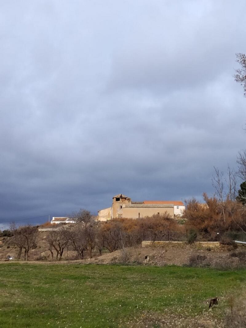 3 soverom Herregård til salgs