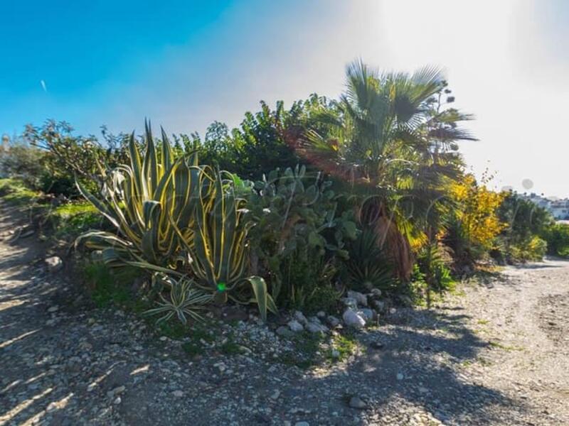 Terrain à vendre dans Torrox Park, Málaga