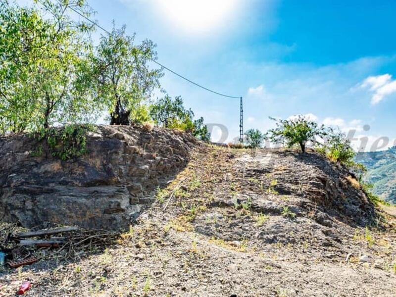 2 Cuarto Casa de Campo en venta