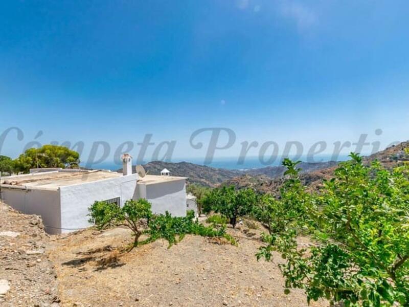 3 Cuarto Villa en venta
