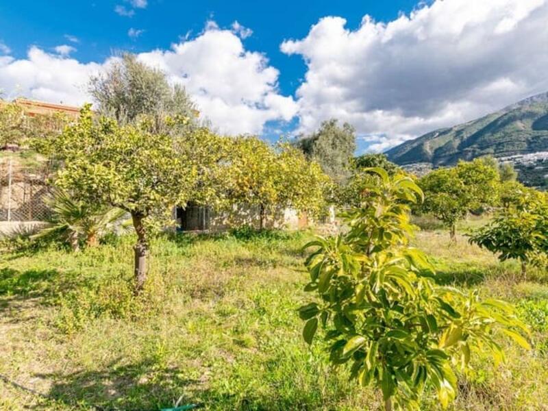 4 Cuarto Villa en venta