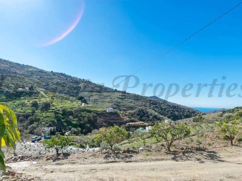 3 Cuarto Casa de Campo en venta