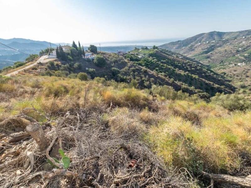 Land for sale