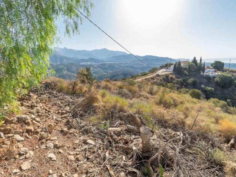 Land for sale