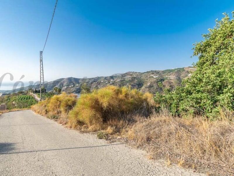 Land for sale