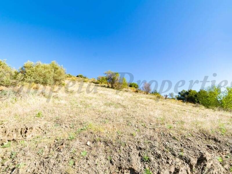 Land Te koop