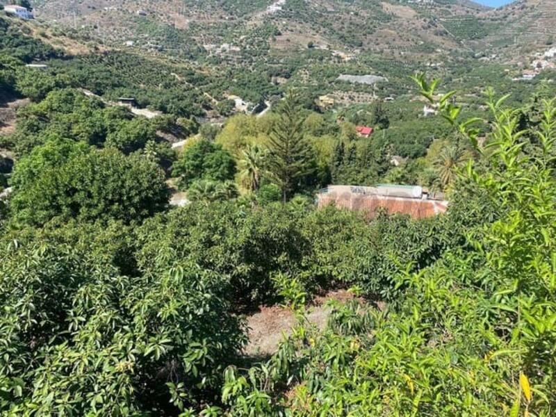 3 Cuarto Casa de Campo en venta