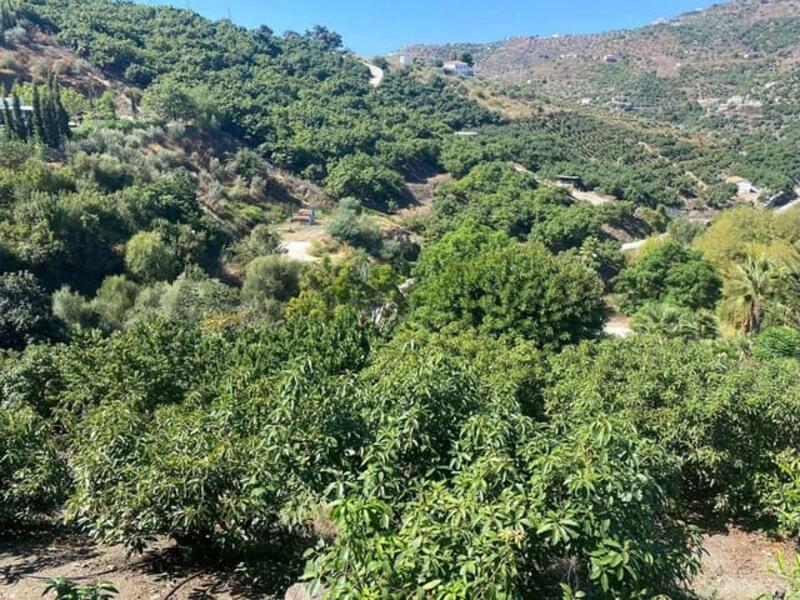 3 Cuarto Casa de Campo en venta