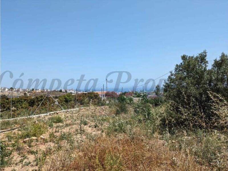 3 Cuarto Casa de Campo en venta