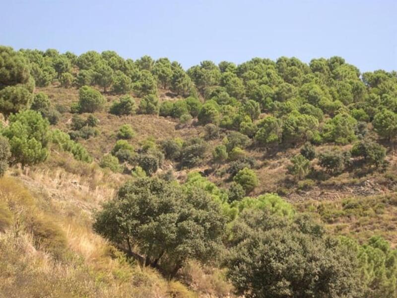 Terrenos en venta