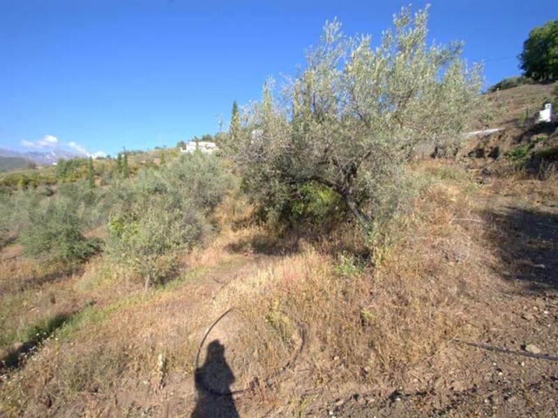 Land Te koop in Competa, Málaga