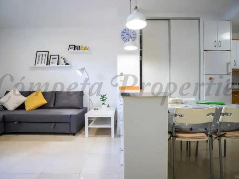 1 chambre Appartement à louer à long terme
