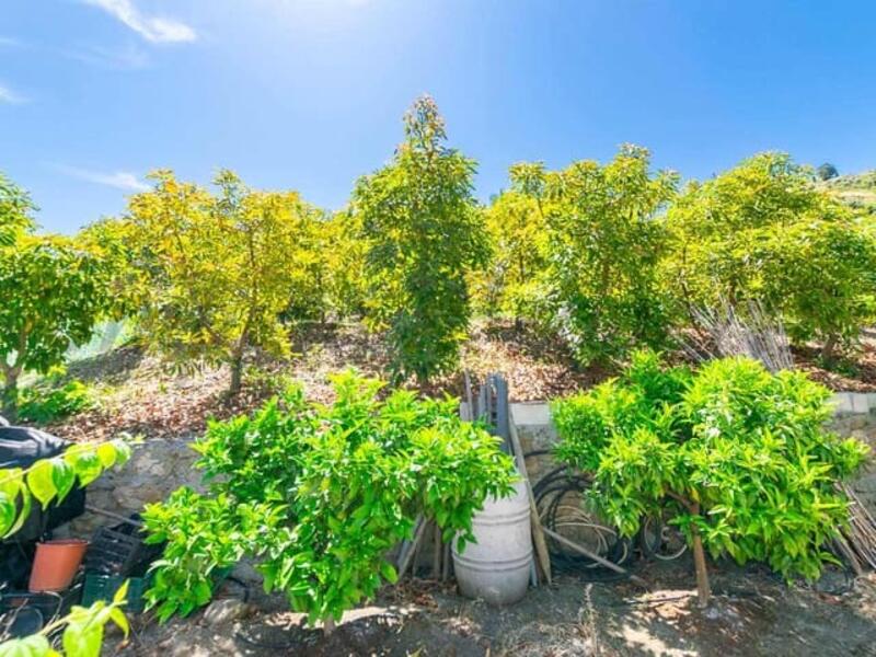 Casa de Campo en venta