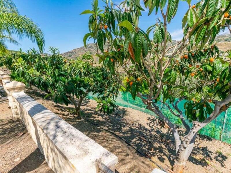 Casa de Campo en venta