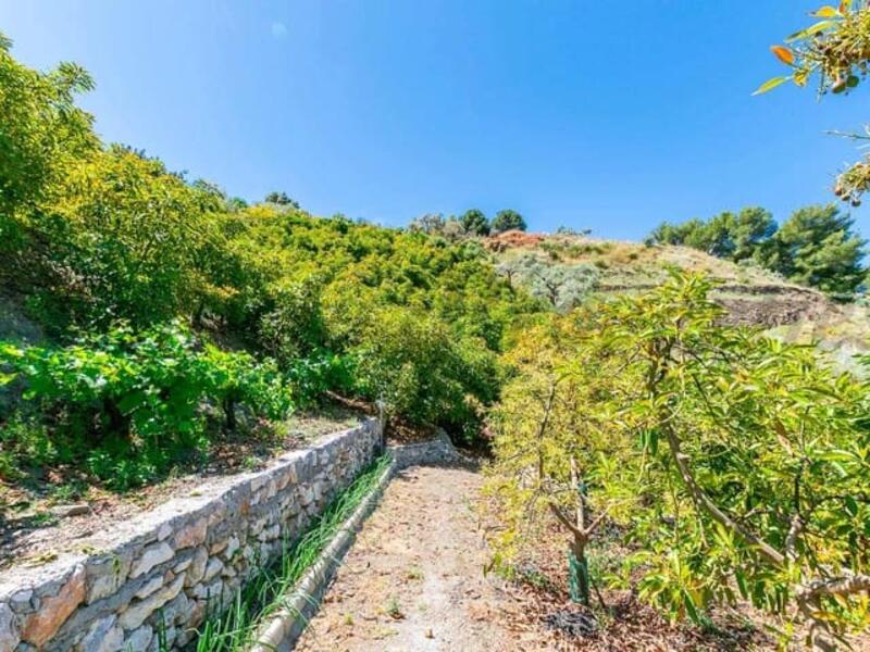 Casa de Campo en venta