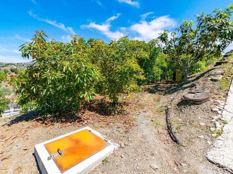Casa de Campo en venta