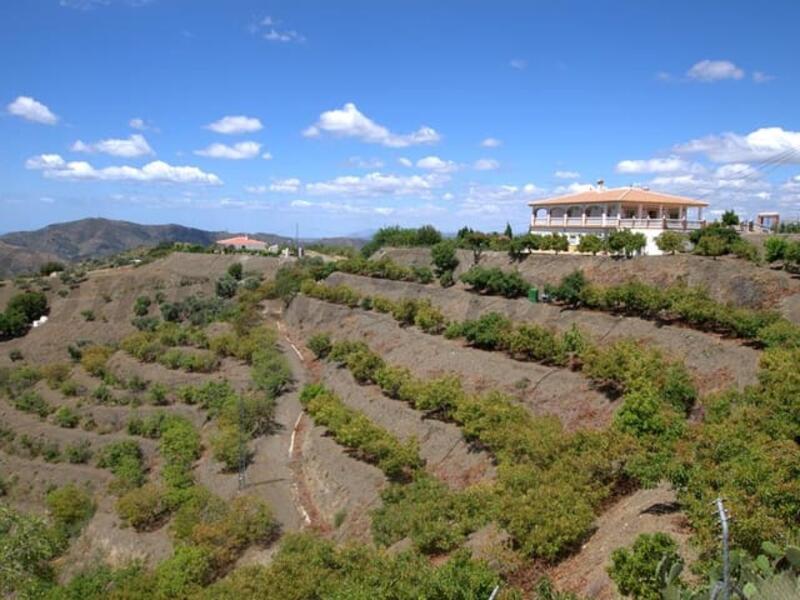5 bedroom Villa for sale