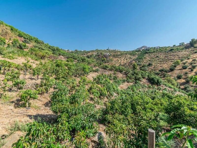 Grundstück zu verkaufen in Torrox, Málaga