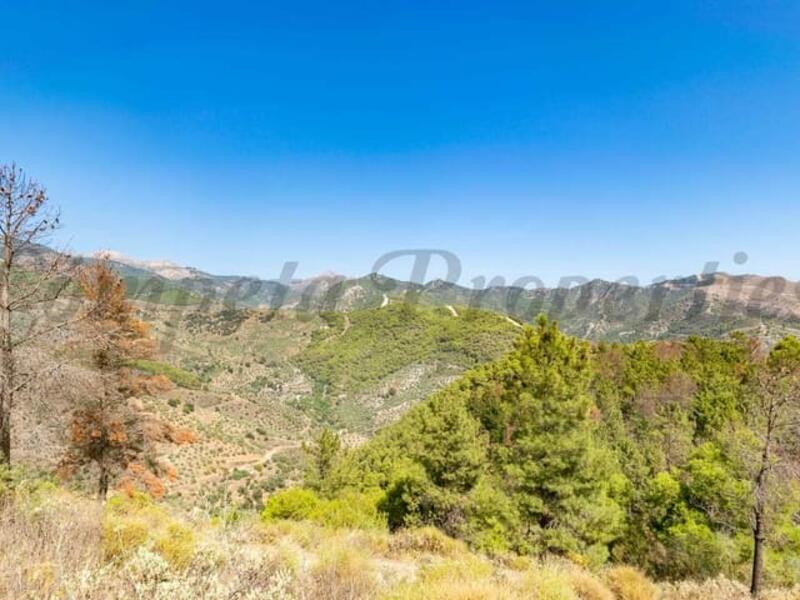 1 bedroom Country House for Long Term Rent