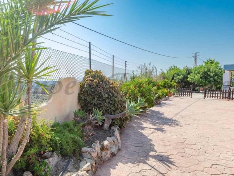 3 chambre Auberge à vendre