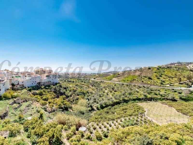 1 bedroom Apartment for Long Term Rent