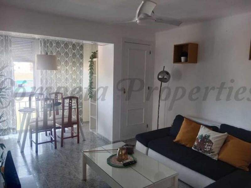 1 bedroom Apartment for Long Term Rent