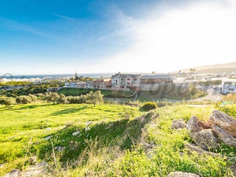 земля продается