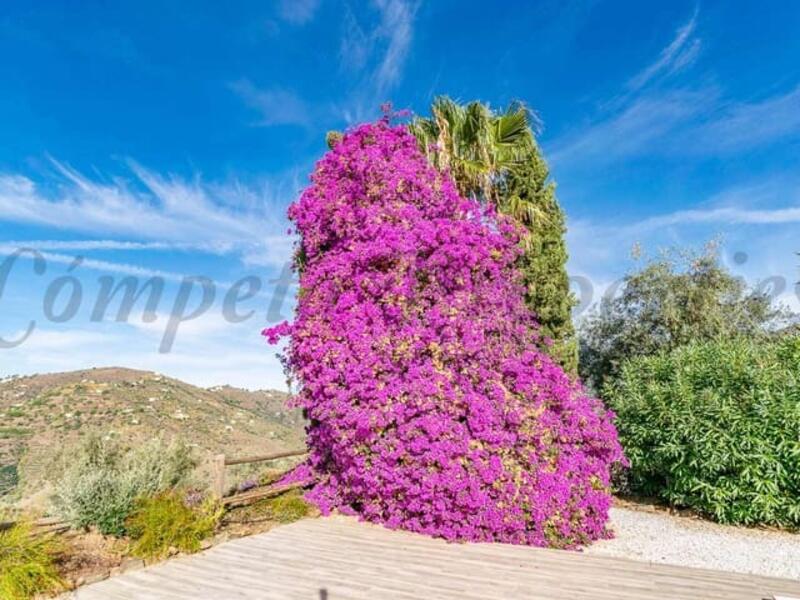 3 bedroom Villa for sale 3 bedroom Villa for sale