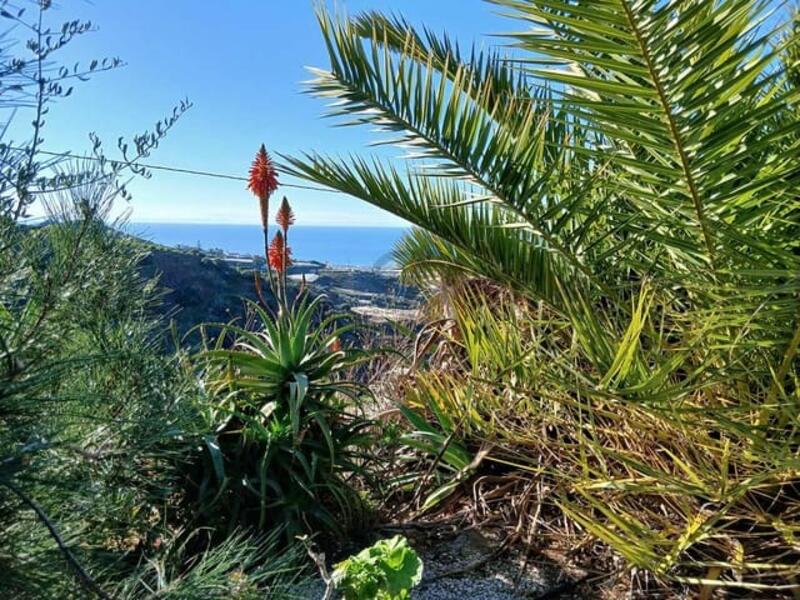 2 bedroom Country House for sale