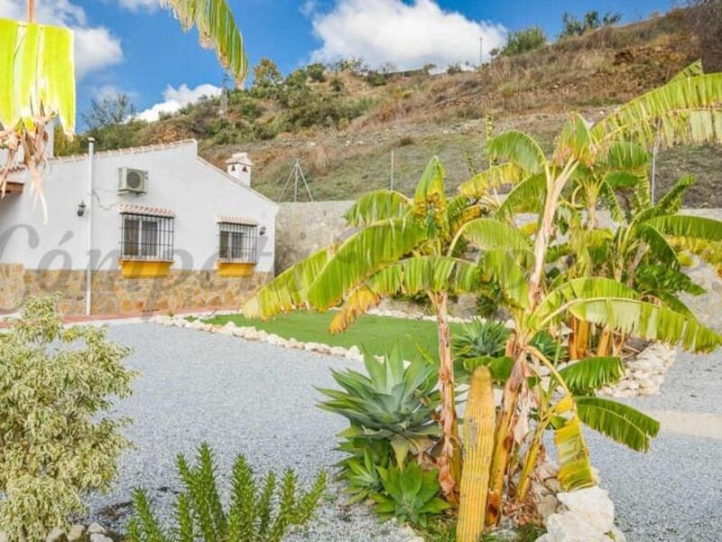 2 chambre Villa à louer à long terme